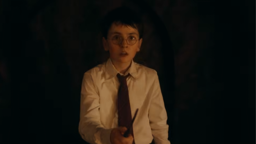 harry potter série hbo max